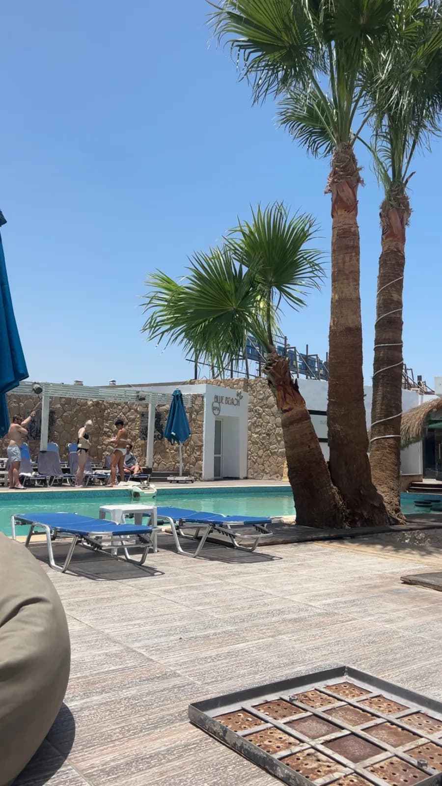 Pool, sunbeds and palm trees at Blue Beach Club on Hurghada Marina