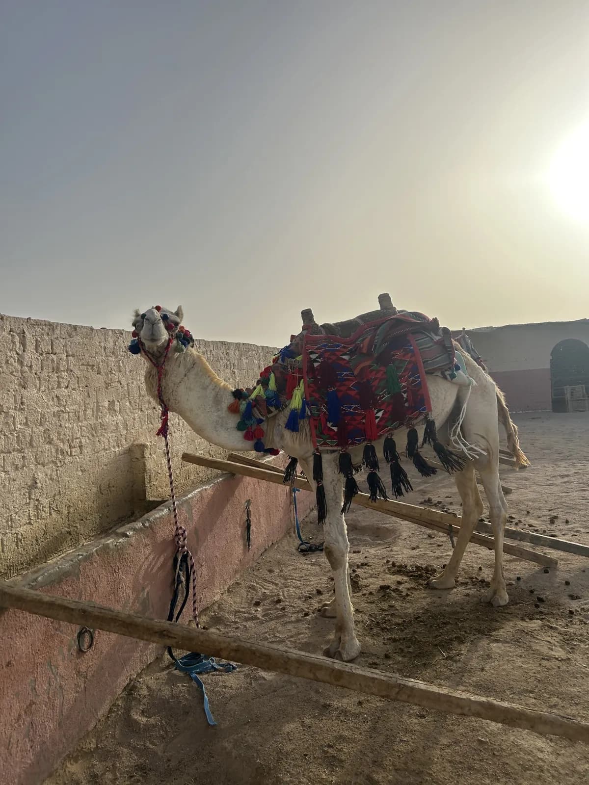 Teetablett in einem Beduinendorf in der Wüste bei Hurghada