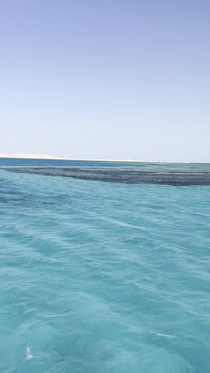 Récif corallien sous une eau turquoise très claire, en mer Rouge